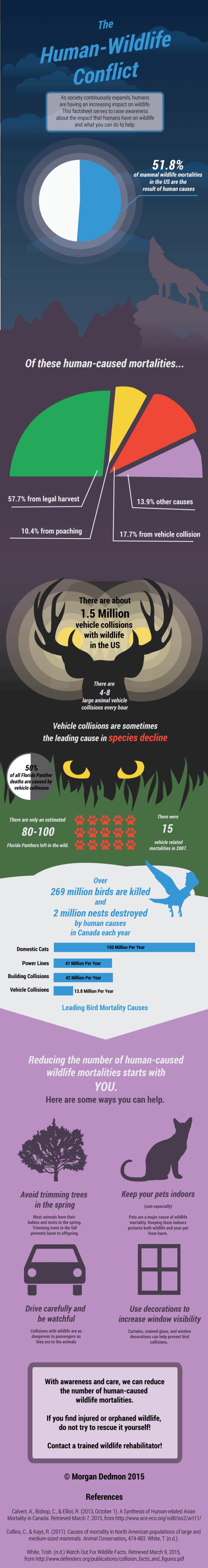 Wildlife-infographic